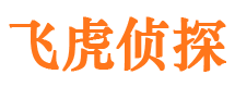 小河市婚外情取证